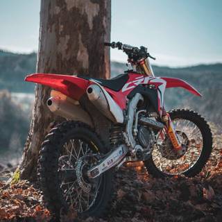 Motocross Honda wallpaper