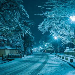 Night winter street wallpaper