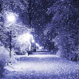 Night winter street wallpaper