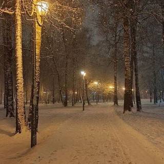 Night winter street wallpaper