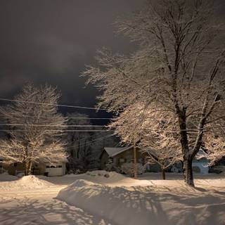 Night winter street wallpaper