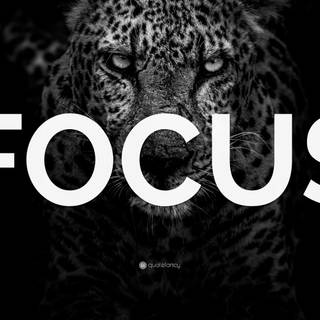 Motivation 2024 desktop wallpaper