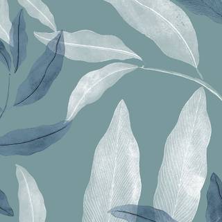 Blue and white aesthetic wallpaper