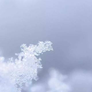 Blue and white aesthetic wallpaper