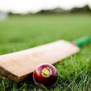 Cricket aesthetic wallpaper