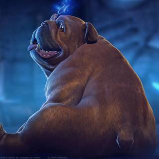 Lockjaw wallpaper