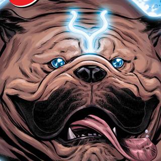 Lockjaw wallpaper
