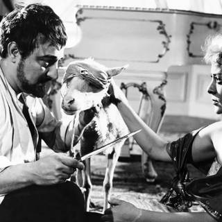 Luis Buñuel wallpaper