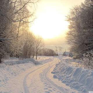 Snowy street wallpaper