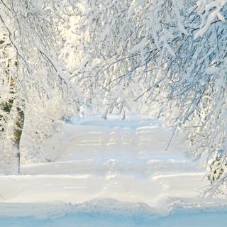Snowy street wallpaper