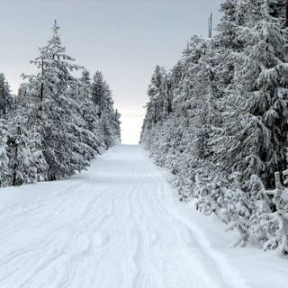 Snowy street wallpaper