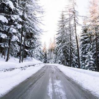 Snowy street wallpaper