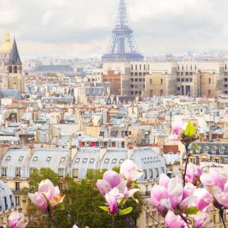 Paris mobile wallpaper