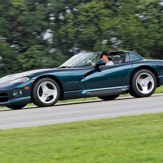 Blue Viper wallpaper