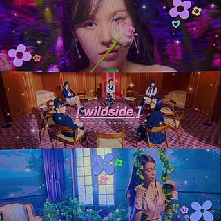Wildside Red Velvet wallpaper