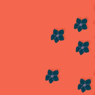 International Women’s Day 2024 wallpaper