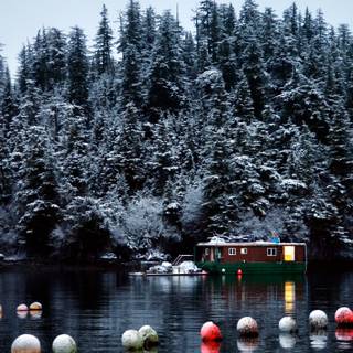 Alaska winter forest wallpaper