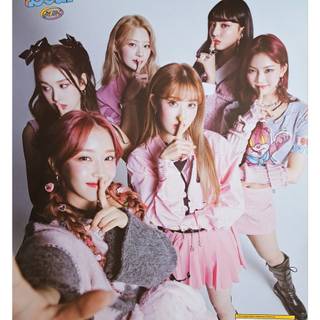 Teddy Bear Stayc wallpaper