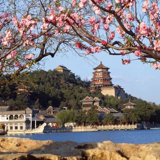 Summer Palace wallpaper