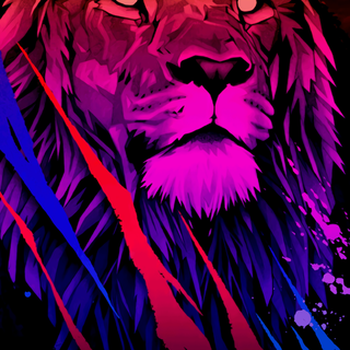 Lion oled wallpaper