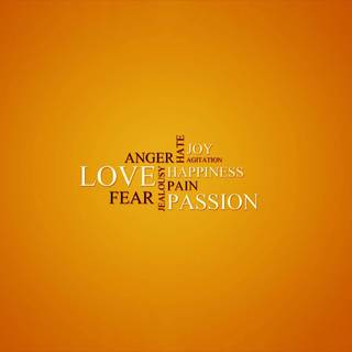 I love my crush wallpaper