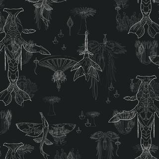 Black Avatar wallpaper