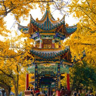 Kunming wallpaper