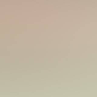 Soft beige wallpaper