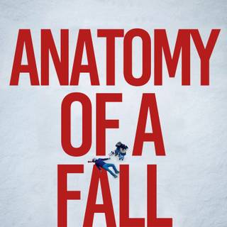 Anatomy of a Fall wallpaper