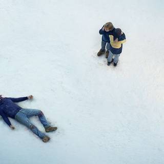 Anatomy of a Fall wallpaper