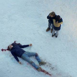 Anatomy of a Fall wallpaper