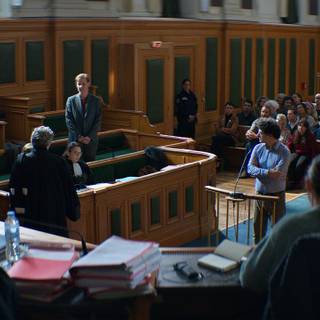 Anatomy of a Fall wallpaper