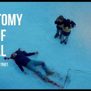 Anatomy of a Fall wallpaper