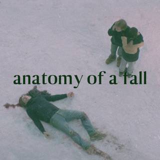 Anatomy of a Fall wallpaper