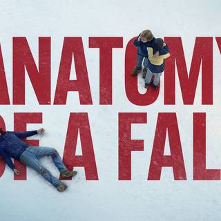 Anatomy of a Fall wallpaper