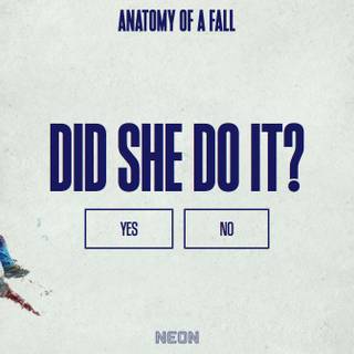 Anatomy of a Fall wallpaper