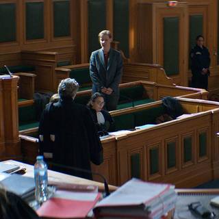 Anatomy of a Fall wallpaper