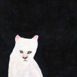 Duster band wallpaper