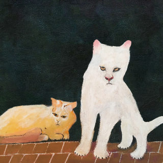 Duster band wallpaper