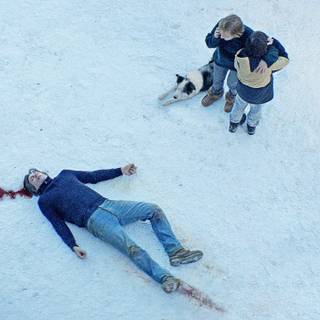 Anatomy of a Fall wallpaper