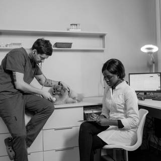 Medical assistant wallpaper