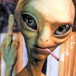 Paul the alien wallpaper