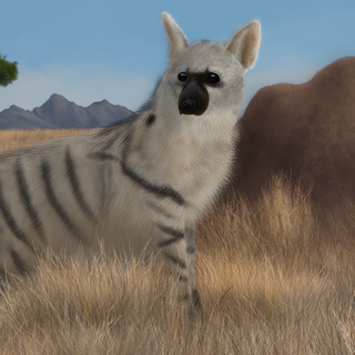 Aardwolf wallpaper