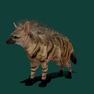 Aardwolf wallpaper