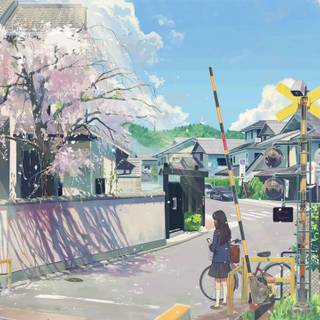 Lofi Cherry Blossom desktop wallpaper