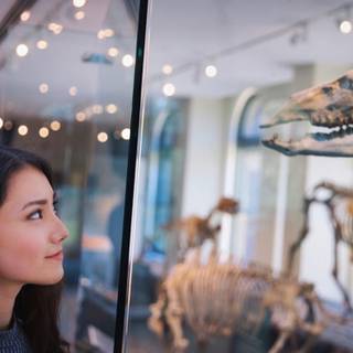 Maria Zhang wallpaper