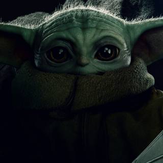 Star Wars Yoda 4k wallpaper