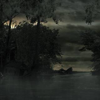Swamp 4k wallpaper