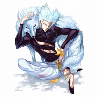 Garou vs Saitama wallpaper