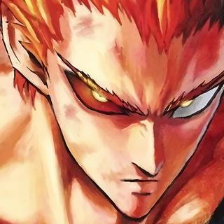 Garou vs Saitama wallpaper